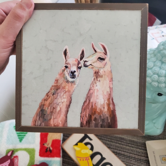 Llama Lot - Picture 2 of 3